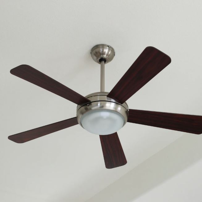 Ceiling fan with leaf-shaped blades in a bright sunroom with hanging chairs.